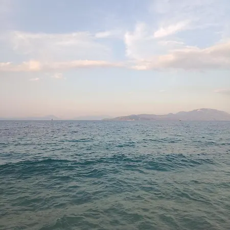 Orange Horizon *