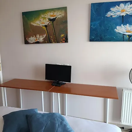 Orange Horizon *